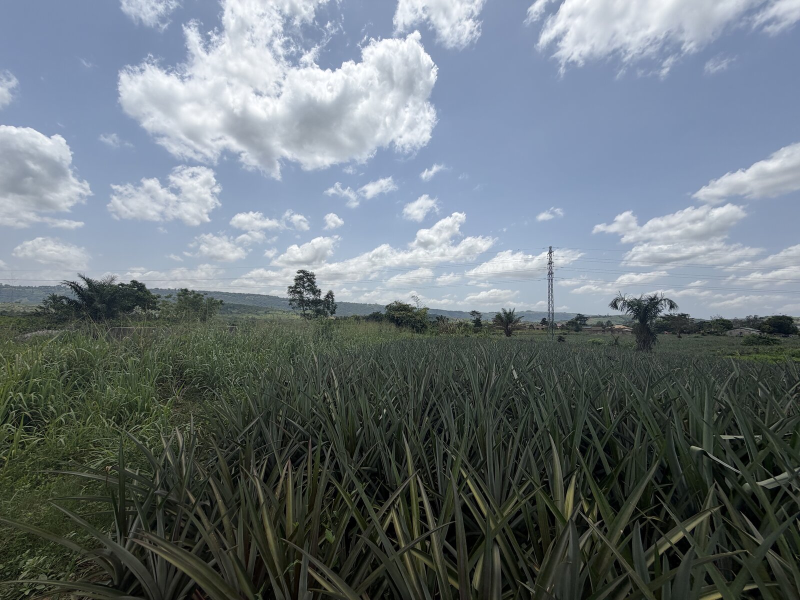 Titled land for sale at Kingdom Kwasi Doi, Aburi