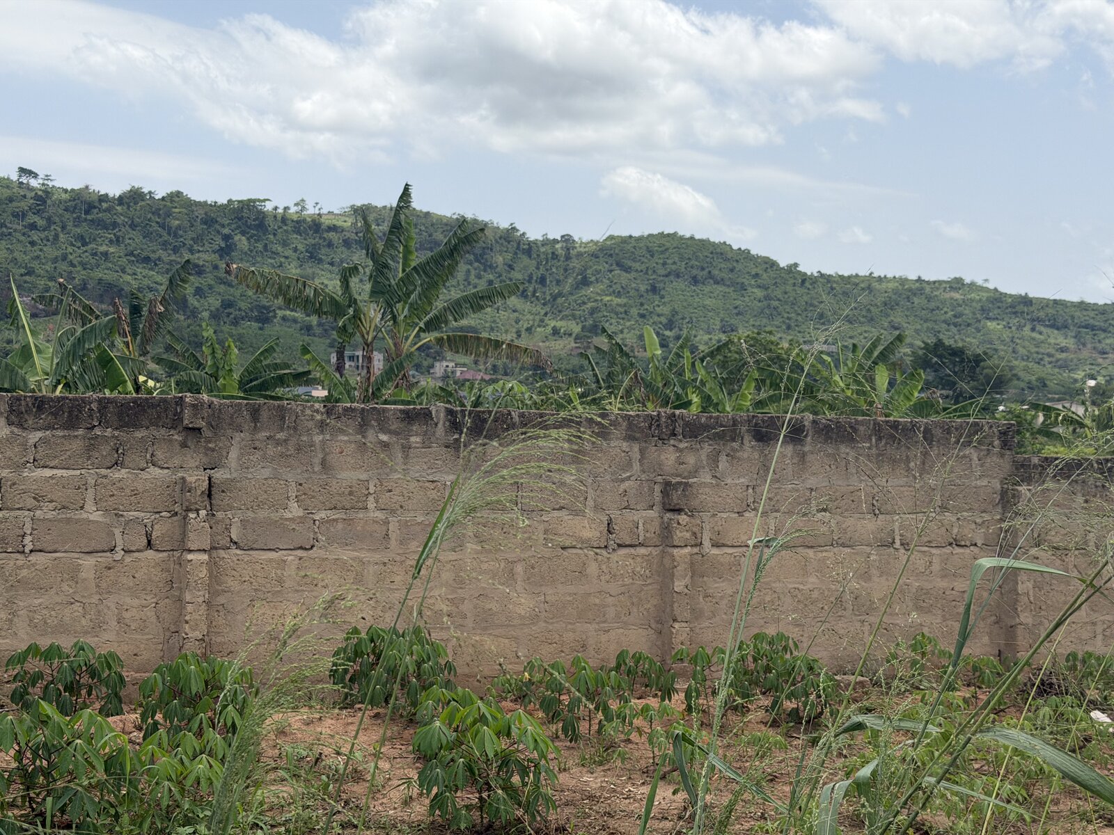 Boundary wall on an adjoining plot