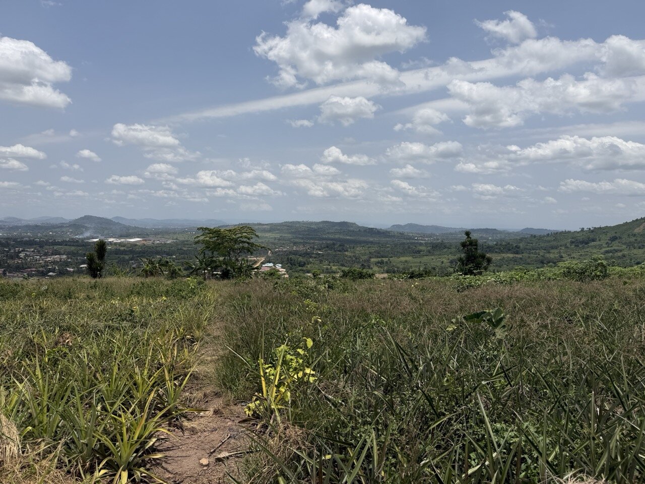 Hilltop view across the land