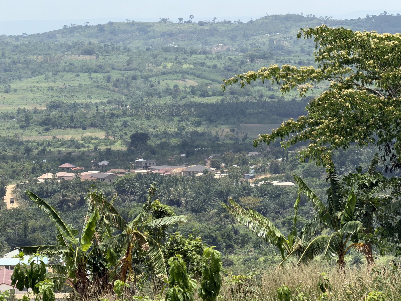 View toward the valley from Kingdom Kwasi Doi