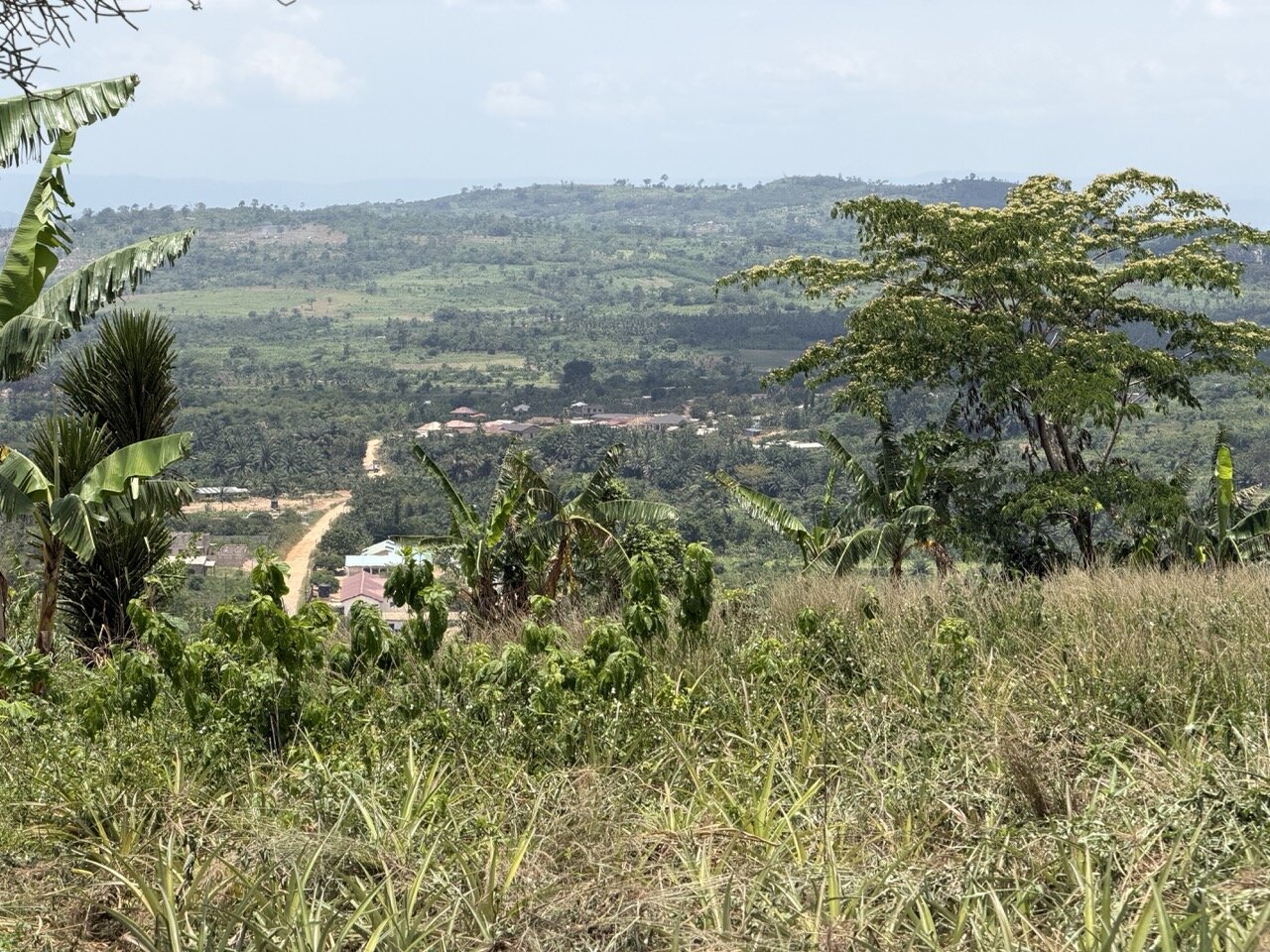 Hillside view showing the access road at Kingdom Kwasi Doi