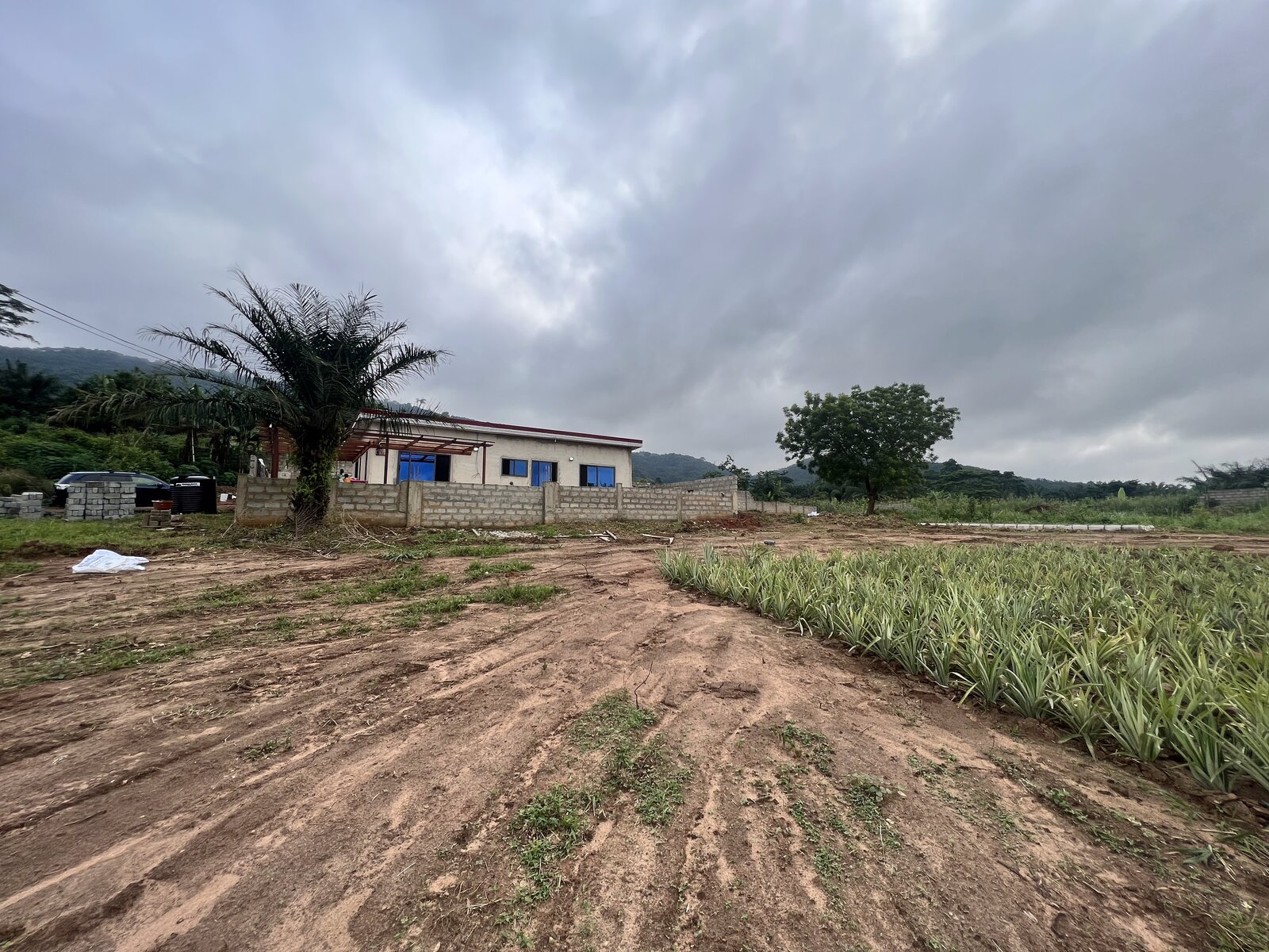 Nearby access road and development