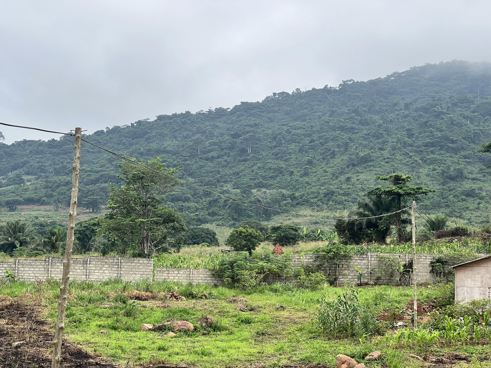 Titled plot boundary wall
