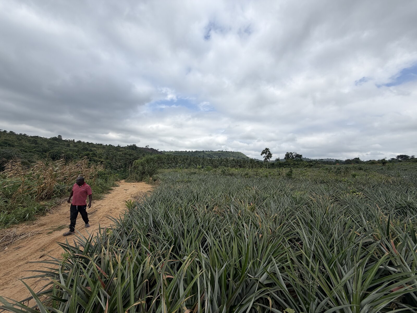 Dirt track through the Pepawani land
