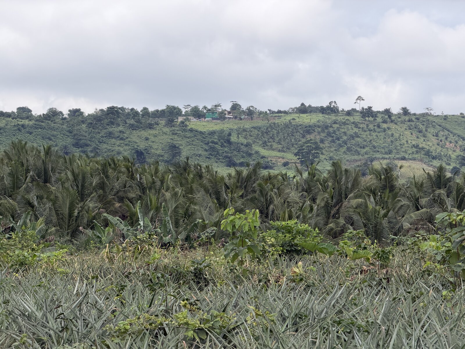 Hills bordering the Pepawani farm land