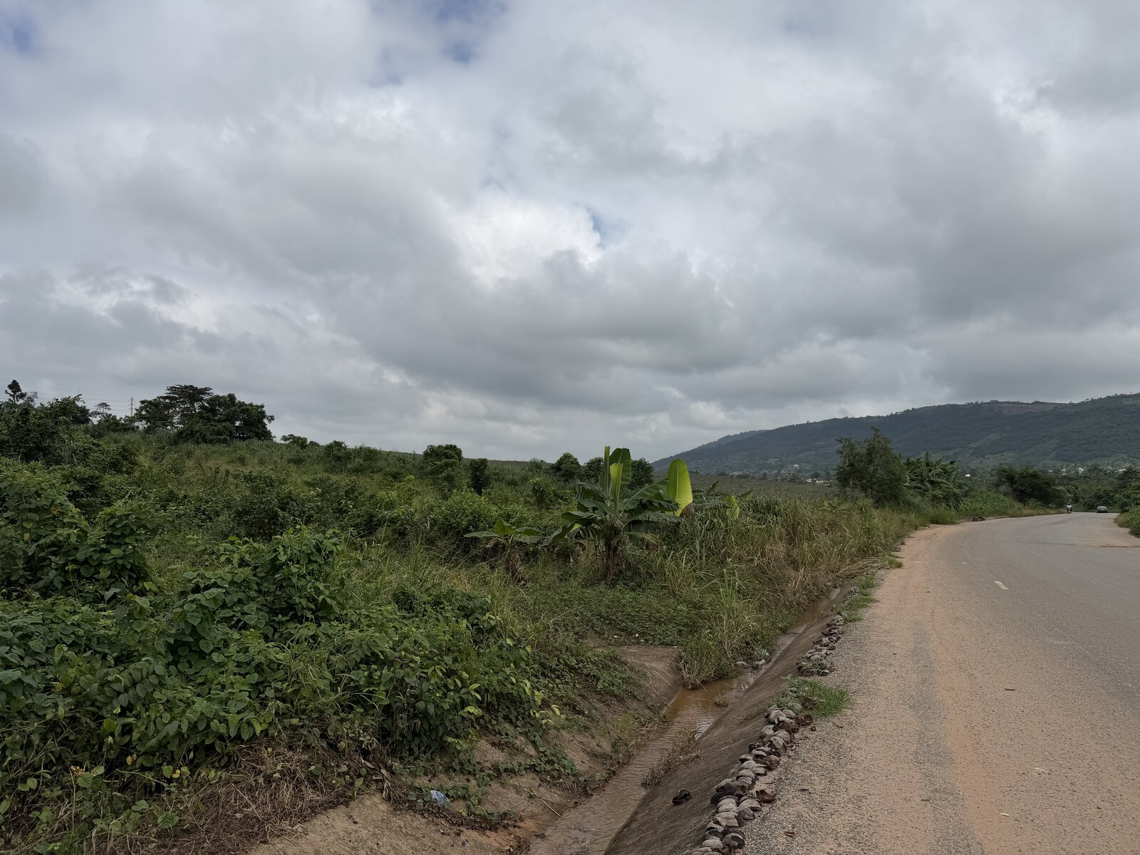Roadside land with greenery