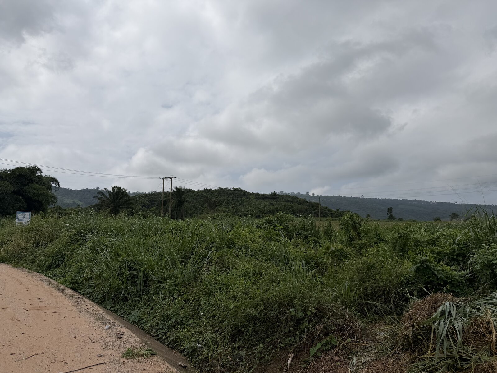 Paved road curving alongside the land